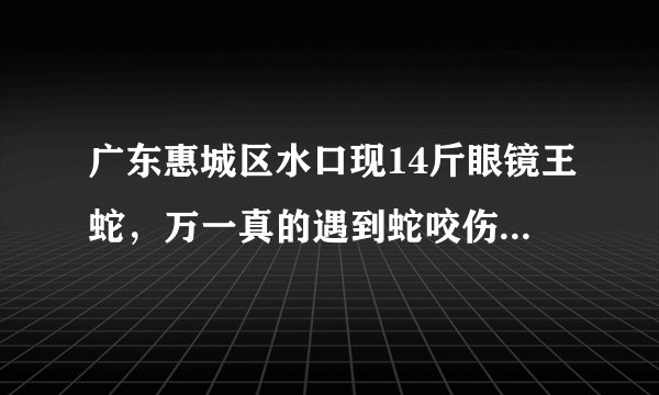 广东惠城区水口现14斤眼镜王蛇，万一真的遇到蛇咬伤，该如何急救？