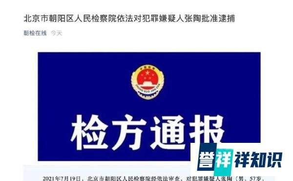 航天投资集团党委书记张陶被批捕