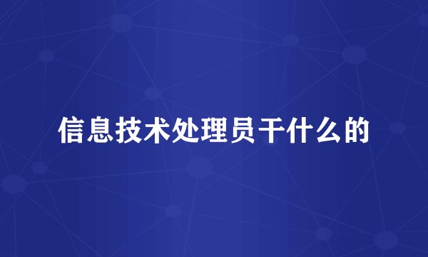信息技术处理员干什么的