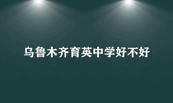 乌鲁木齐育英中学好不好