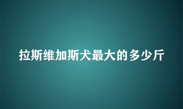 拉斯维加斯犬最大的多少斤