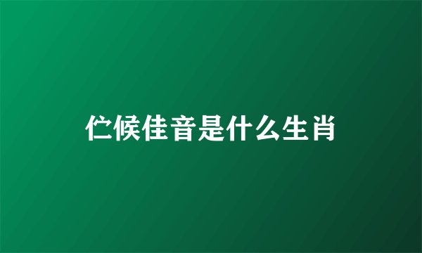 伫候佳音是什么生肖