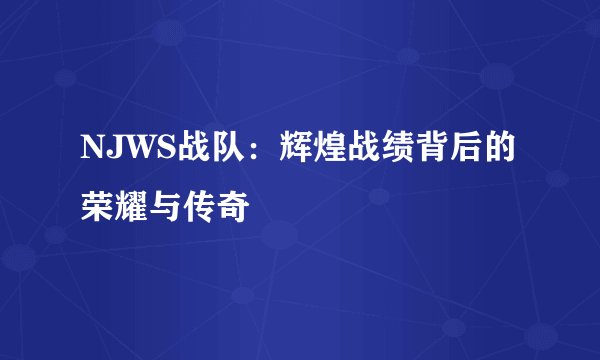 NJWS战队：辉煌战绩背后的荣耀与传奇