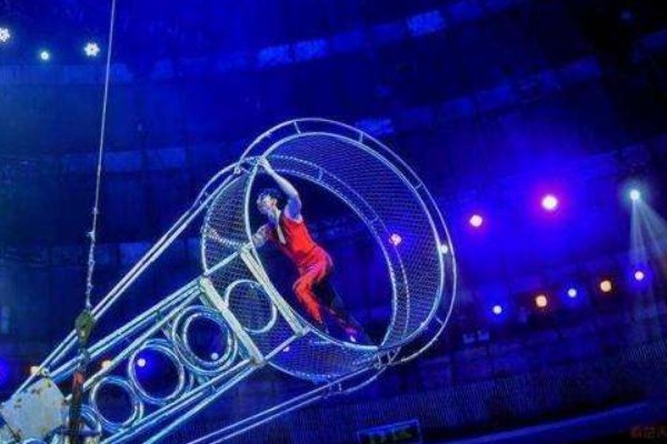 身亡杂技演员家属不接受50万赔偿，赔偿这么少有无内情？