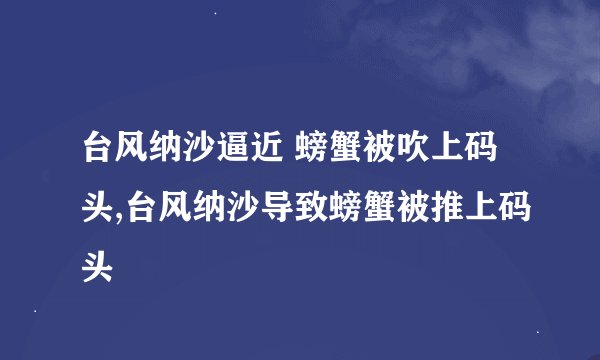 台风纳沙逼近 螃蟹被吹上码头,台风纳沙导致螃蟹被推上码头