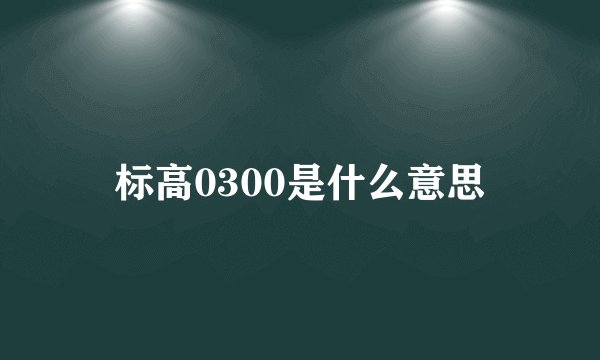 标高0300是什么意思