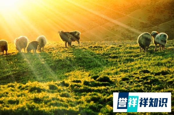宋-刘敞《春草》