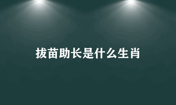 拔苗助长是什么生肖