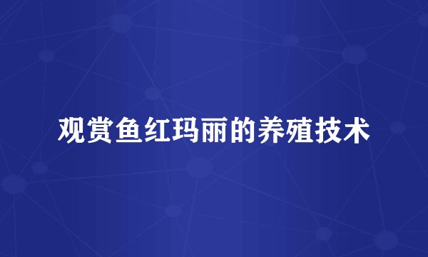 观赏鱼红玛丽的养殖技术