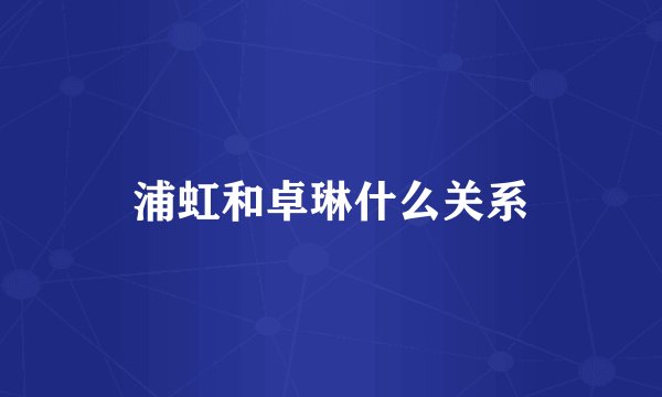 浦虹和卓琳什么关系