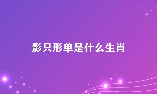 影只形单是什么生肖