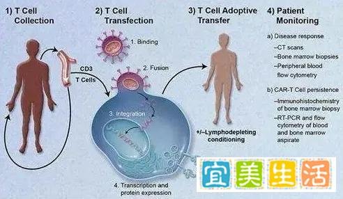 19岁男孩高考后查出白血病：要加油，治愈希望并不渺茫！