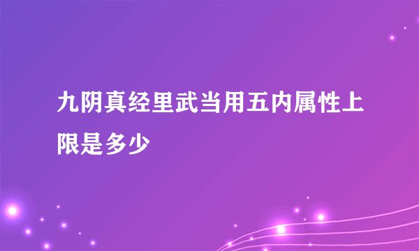 九阴真经里武当用五内属性上限是多少