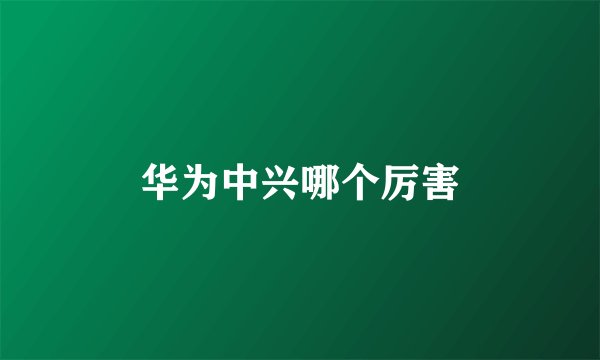 华为中兴哪个厉害