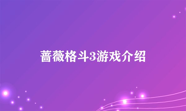 蔷薇格斗3游戏介绍