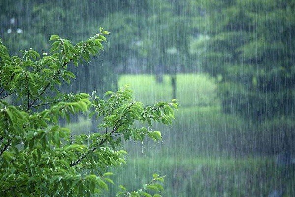 春雨沥沥是指什么生肖
