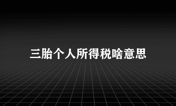 三胎个人所得税啥意思