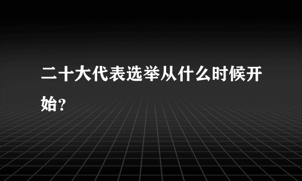 二十大代表选举从什么时候开始？