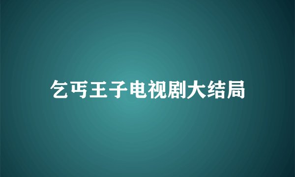 乞丐王子电视剧大结局
