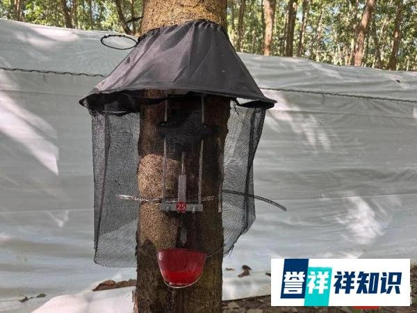 南海网 | 科技扎进泥土里：中国热科院打造“热带科技示范村”振兴样板