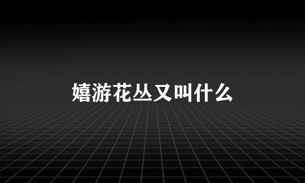 嬉游花丛又叫什么