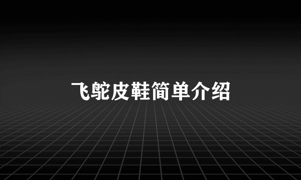 飞鸵皮鞋简单介绍