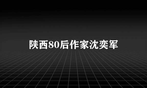 陕西80后作家沈奕军