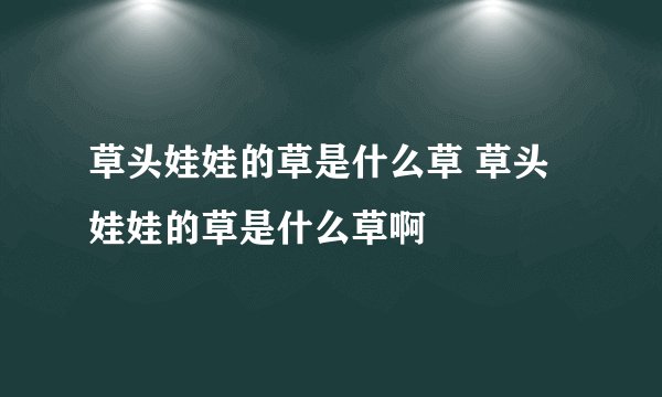 草头娃娃的草是什么草 草头娃娃的草是什么草啊