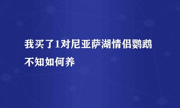 我买了1对尼亚萨湖情侣鹦鹉不知如何养