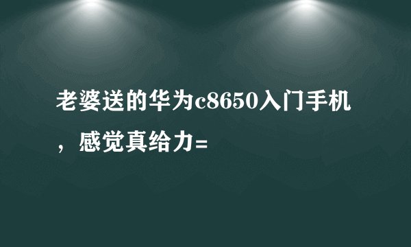 老婆送的华为c8650入门手机，感觉真给力=