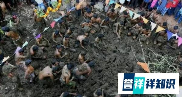 印度“泼粪节”,上万民众互掷牛粪祈求健康