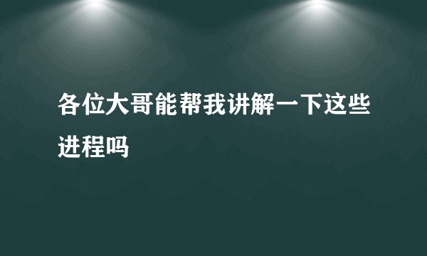各位大哥能帮我讲解一下这些进程吗