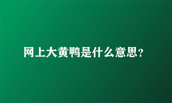 网上大黄鸭是什么意思？