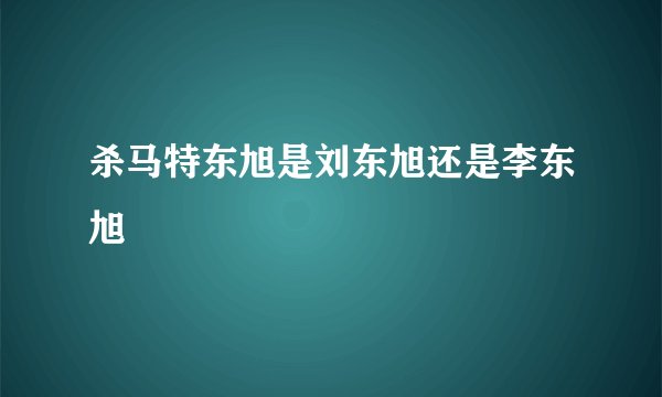 杀马特东旭是刘东旭还是李东旭