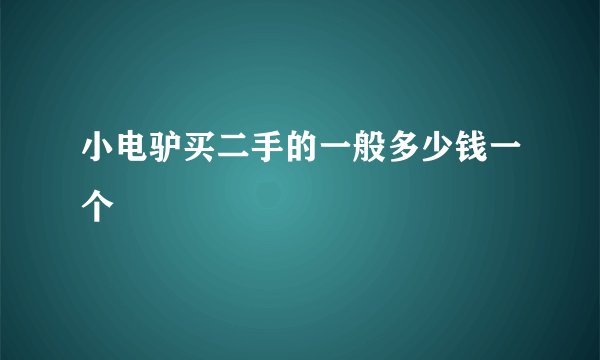 小电驴买二手的一般多少钱一个