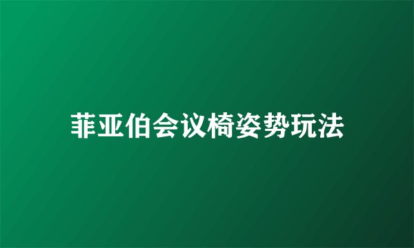 菲亚伯会议椅姿势玩法