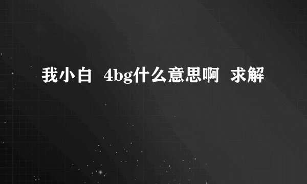 我小白  4bg什么意思啊  求解
