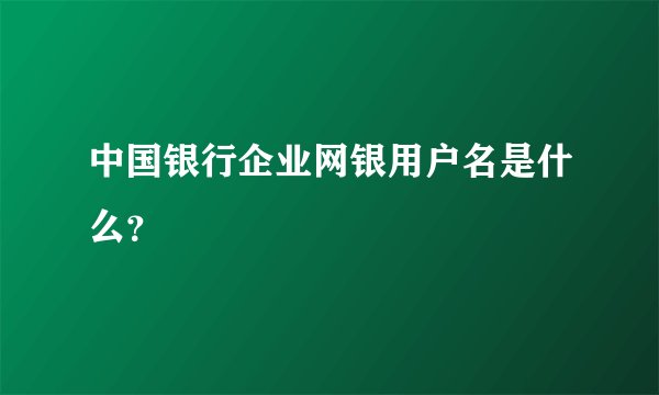 中国银行企业网银用户名是什么？