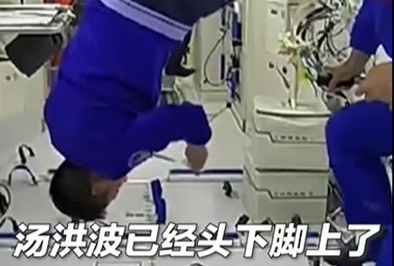汤洪波太空吃播有多少种姿势？