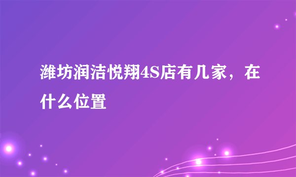 潍坊润洁悦翔4S店有几家，在什么位置