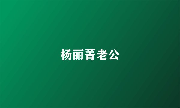 杨丽菁老公