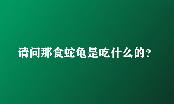 请问那食蛇龟是吃什么的？