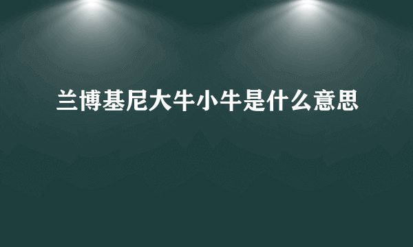 兰博基尼大牛小牛是什么意思