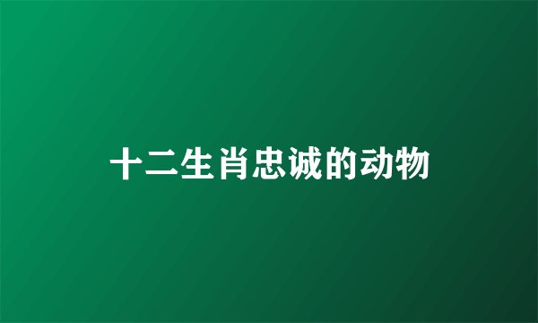 十二生肖忠诚的动物