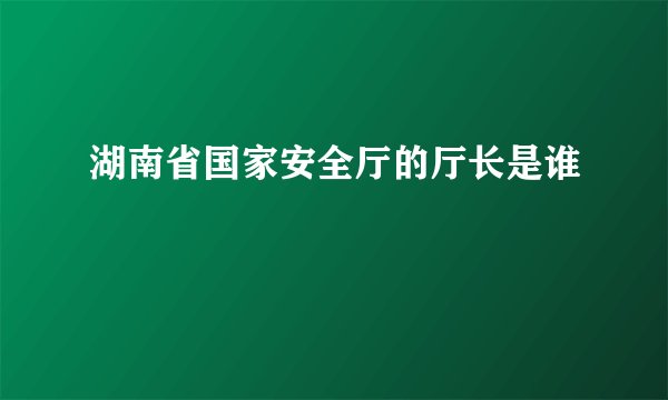 湖南省国家安全厅的厅长是谁