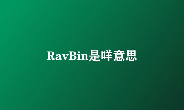 RavBin是咩意思