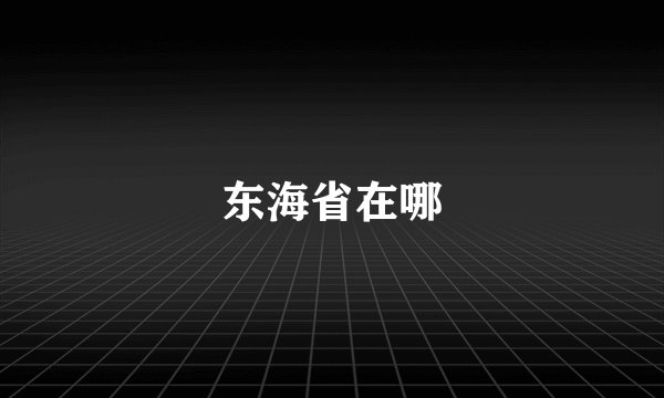 东海省在哪