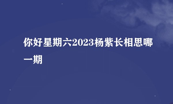你好星期六2023杨紫长相思哪一期