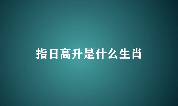 指日高升是什么生肖