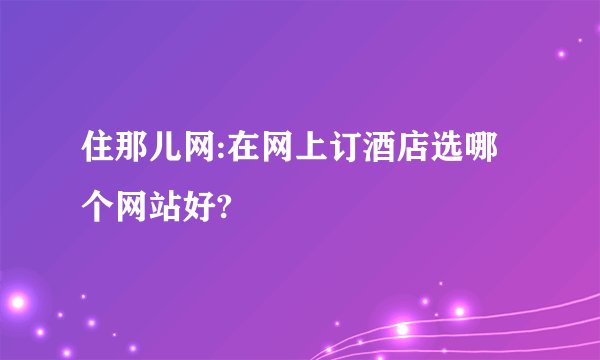 住那儿网:在网上订酒店选哪个网站好?